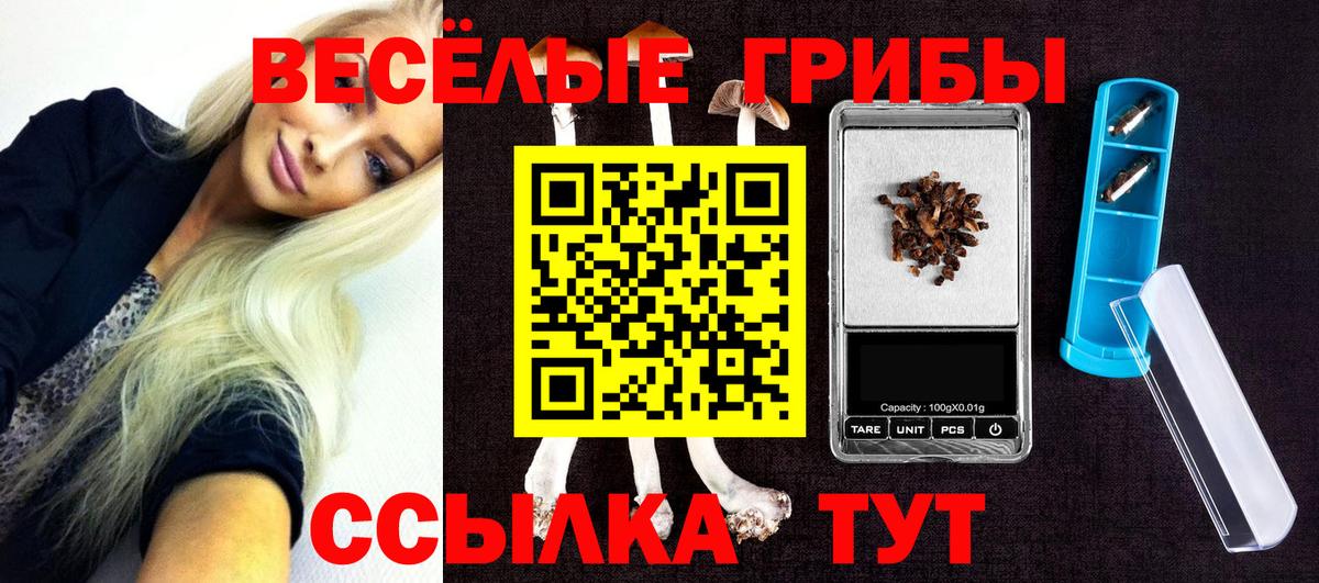 Псилоцибиновые грибы мухоморы  где купить наркоту  Лангепас  Вход с VPN 